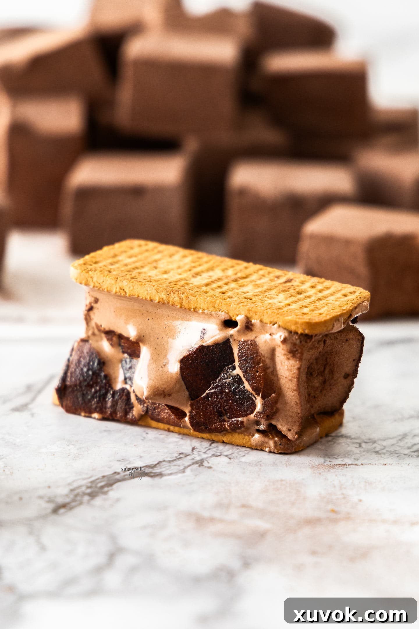 A toasted chocolate marshmallow sandwiched between two chocolate cookies, creating a gourmet s'more.