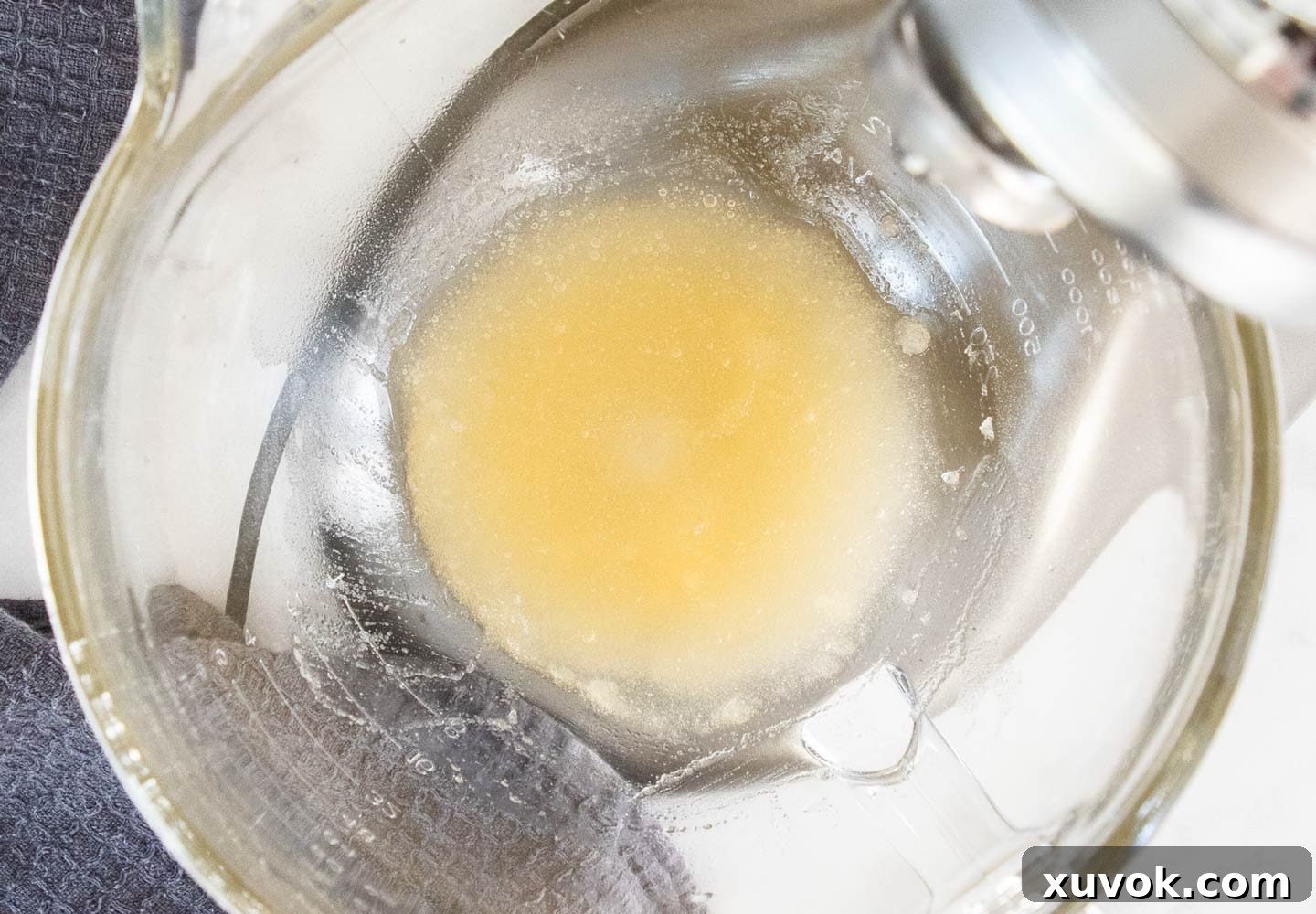 Powdered gelatin mixed with water in a stand mixer bowl, in the process of blooming.