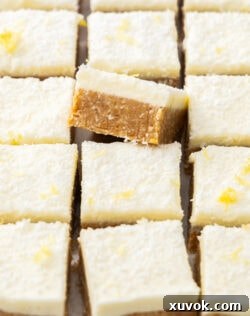 Closeup of a single piece of coconut lemon slice, leaning upward, surrounded by more just showing the topping.
