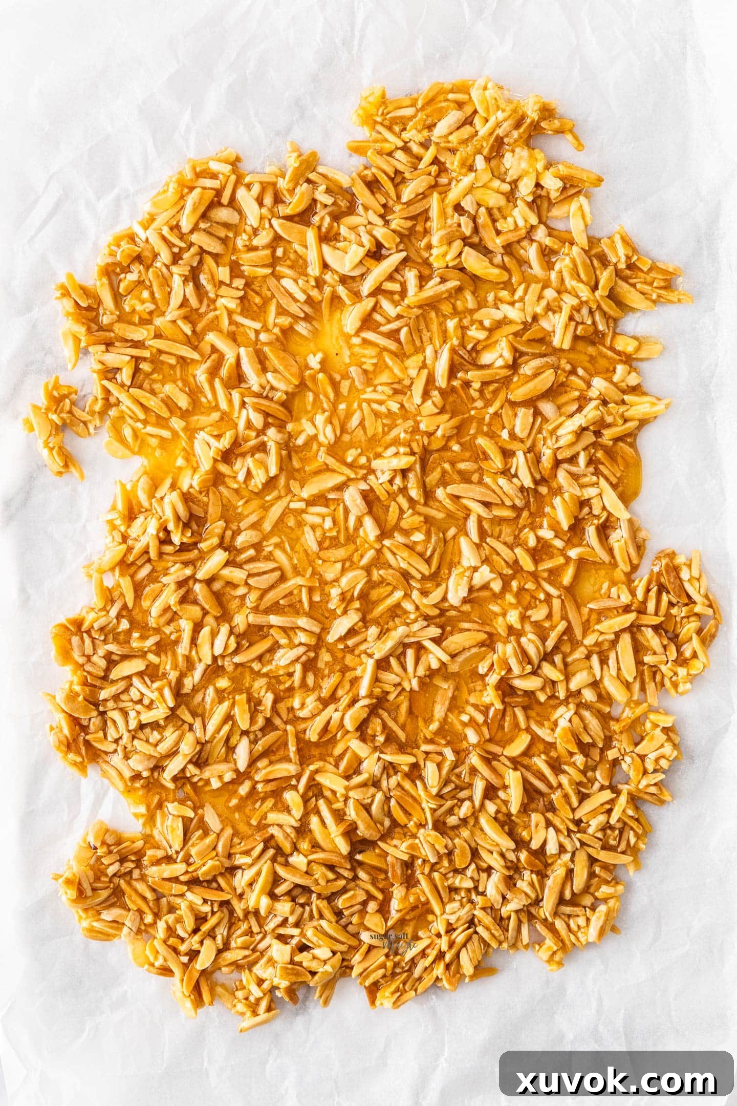 Top down view of a whole sheet of set almond praline before being broken into pieces.