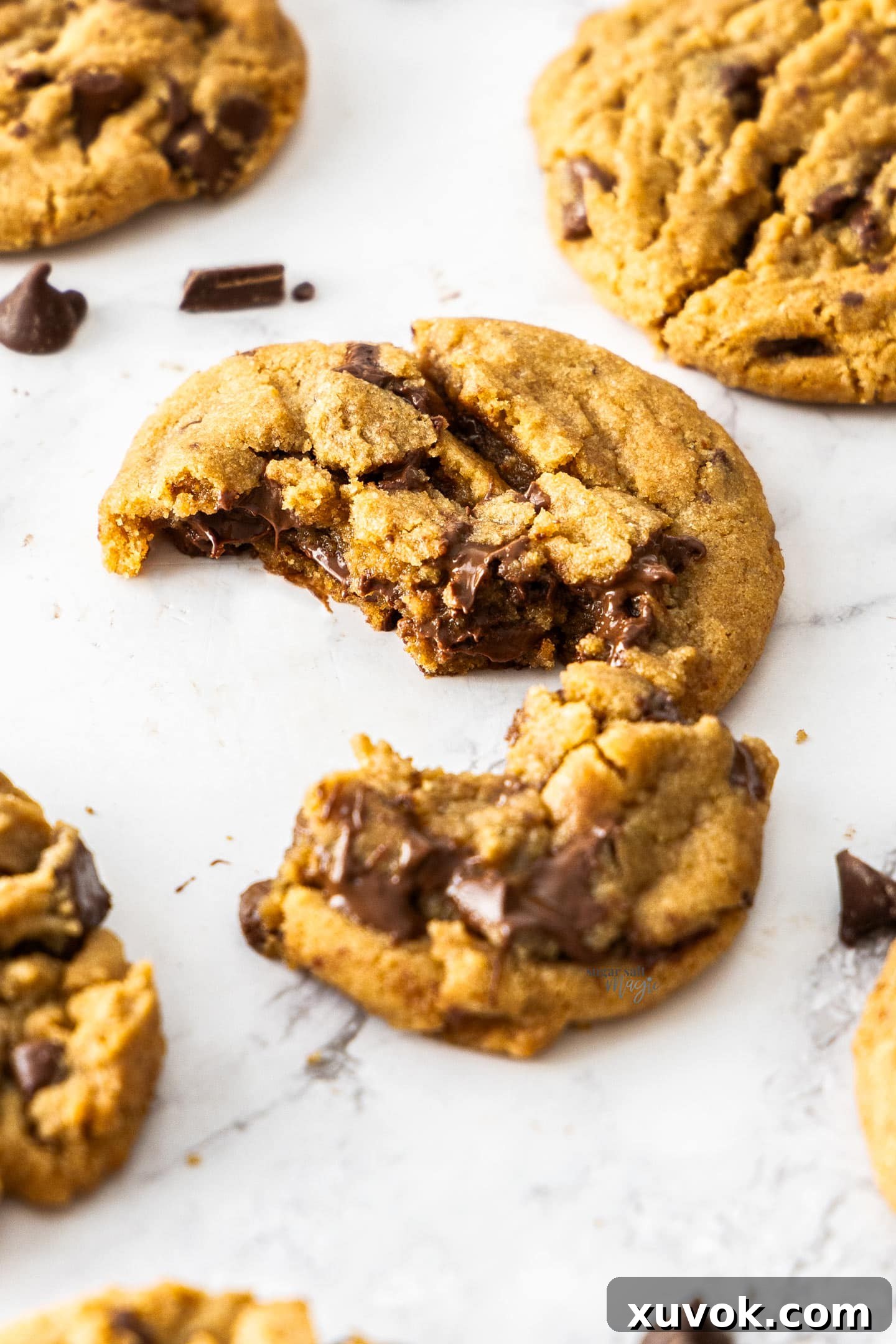 A mouth-watering image of an ultimate chocolate chip cookie broken in half, revealing its perfectly gooey, melted chocolate chips and soft, tender interior.