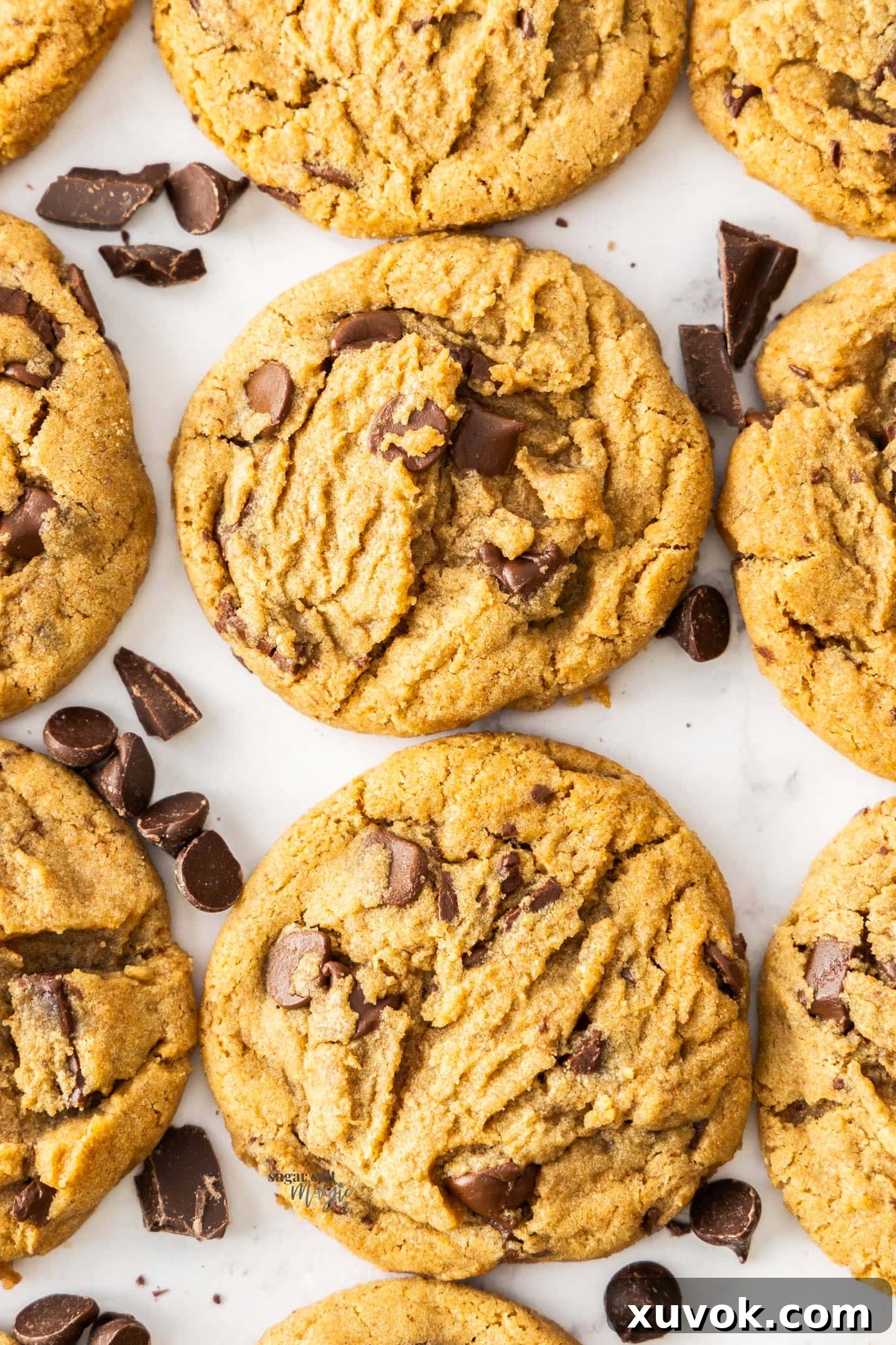 A perfectly lined up batch of ultimate chocolate chip cookies, fresh from the oven, glistening with melted chocolate.