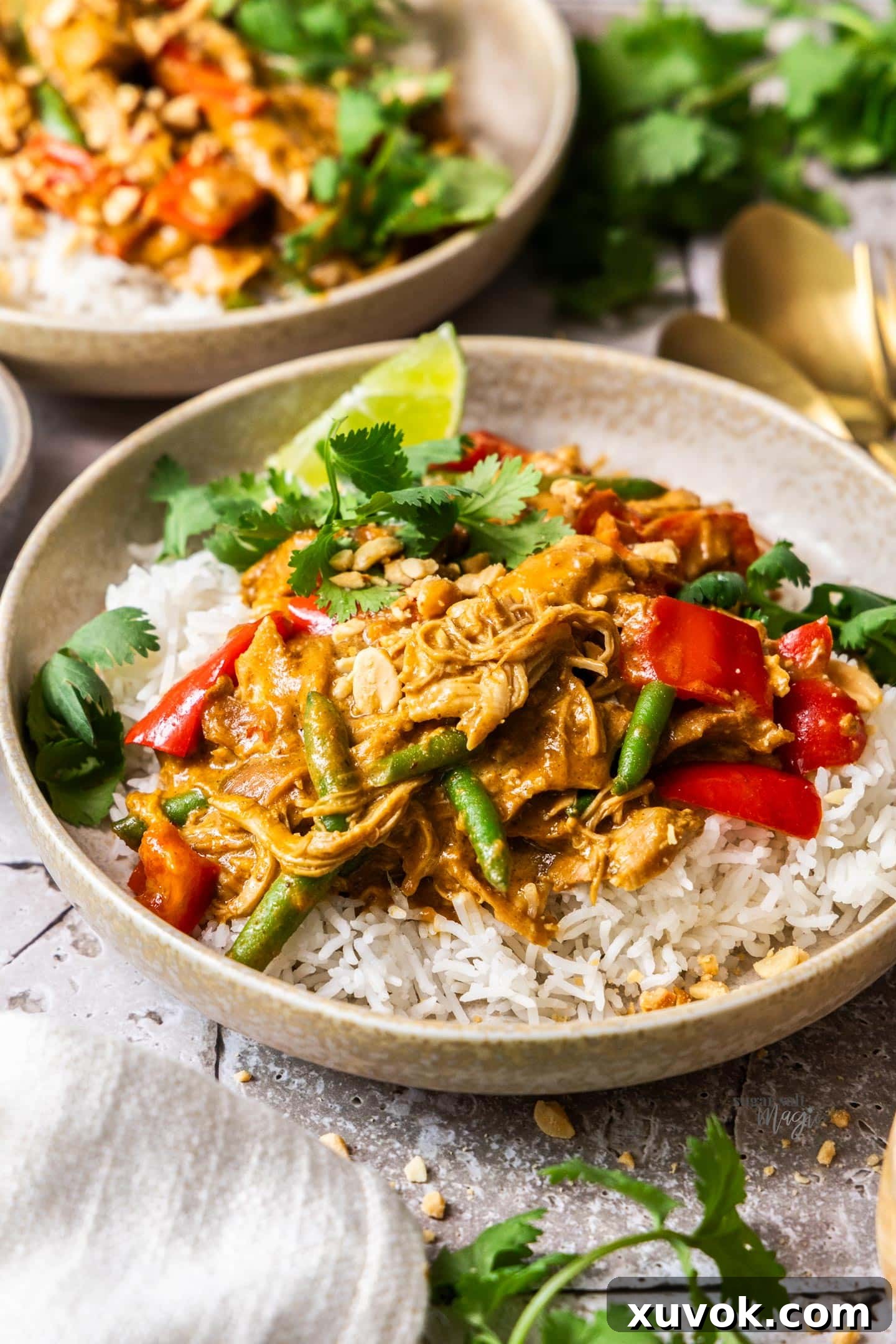 A bowl of slow cooked satay chicken and rice with coriander leaves.
