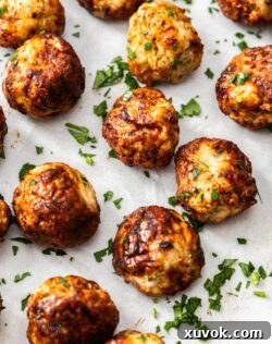 Closeup of air fried chicken meatballs on a tray with parsley on top.