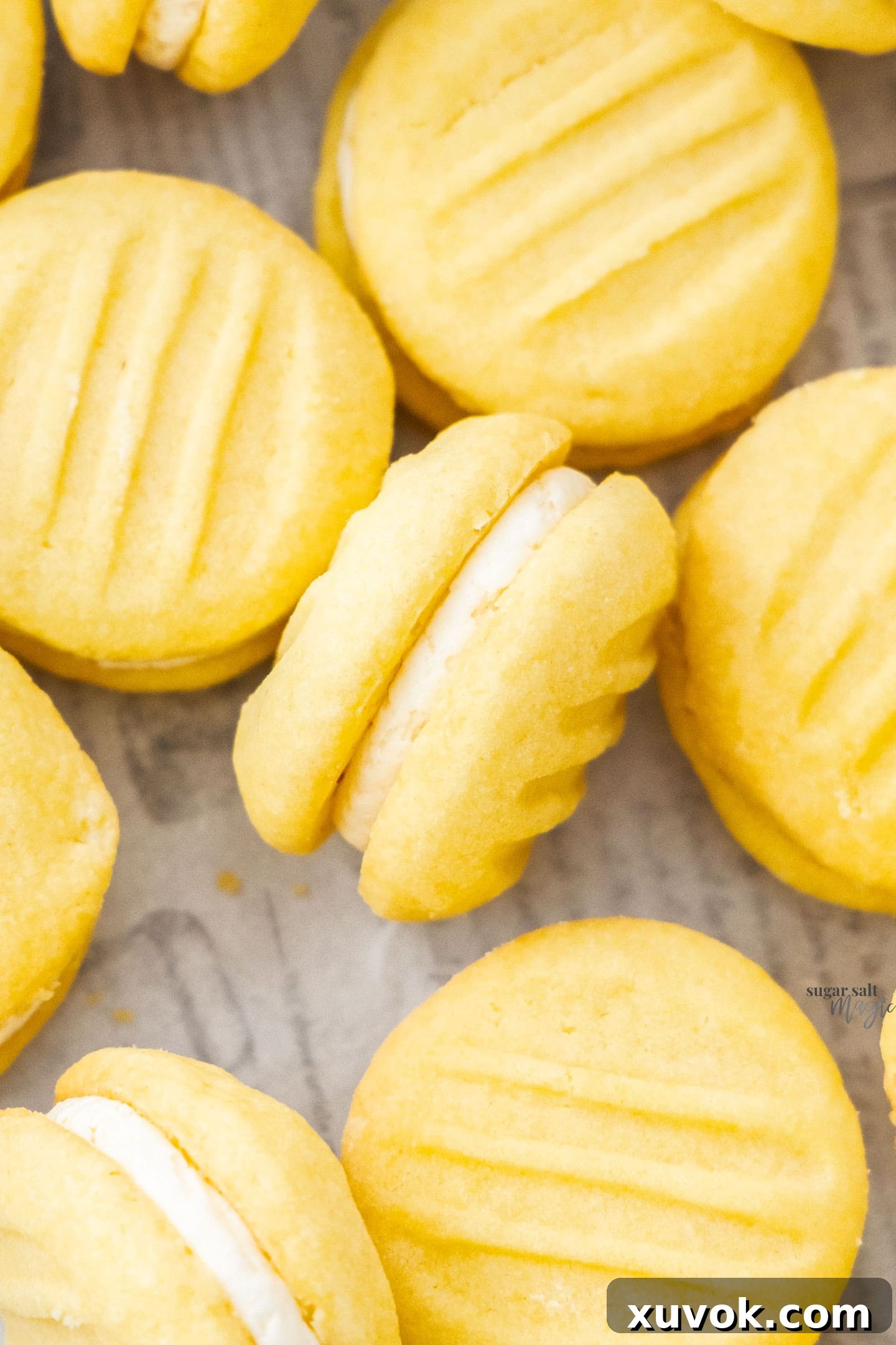 Top down close up view of a batch of yo yo biscuits with creamy filling.