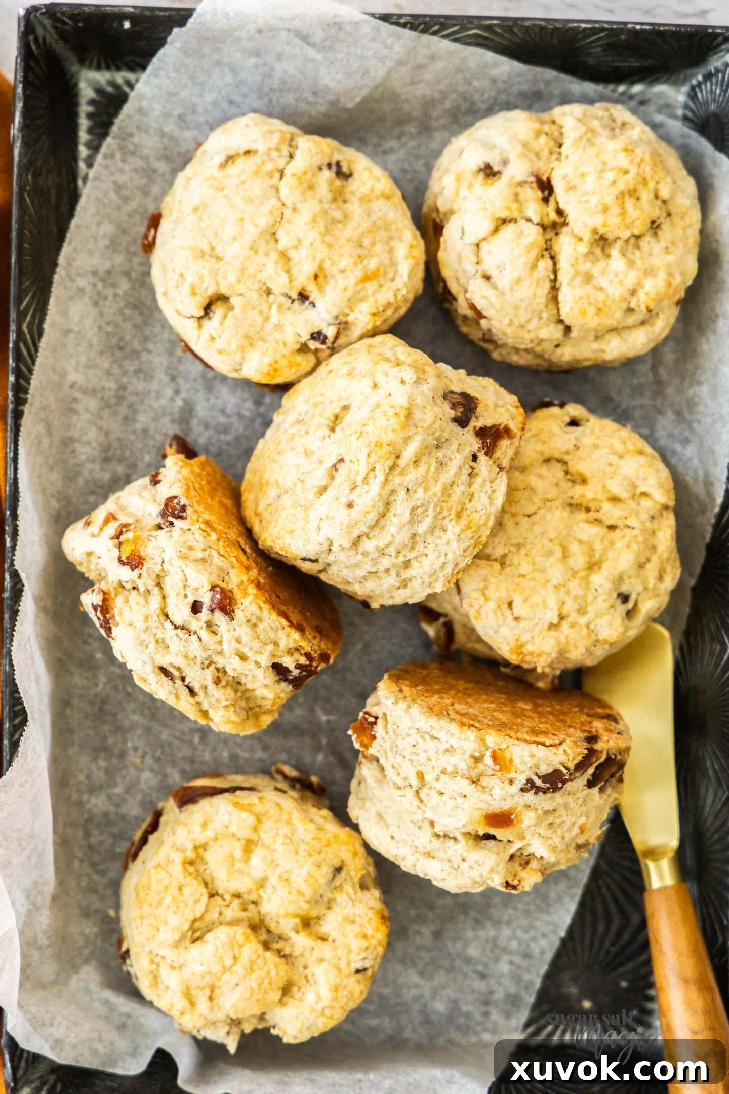 Top down view of seven perfectly baked date scones arranged in a metal tray.