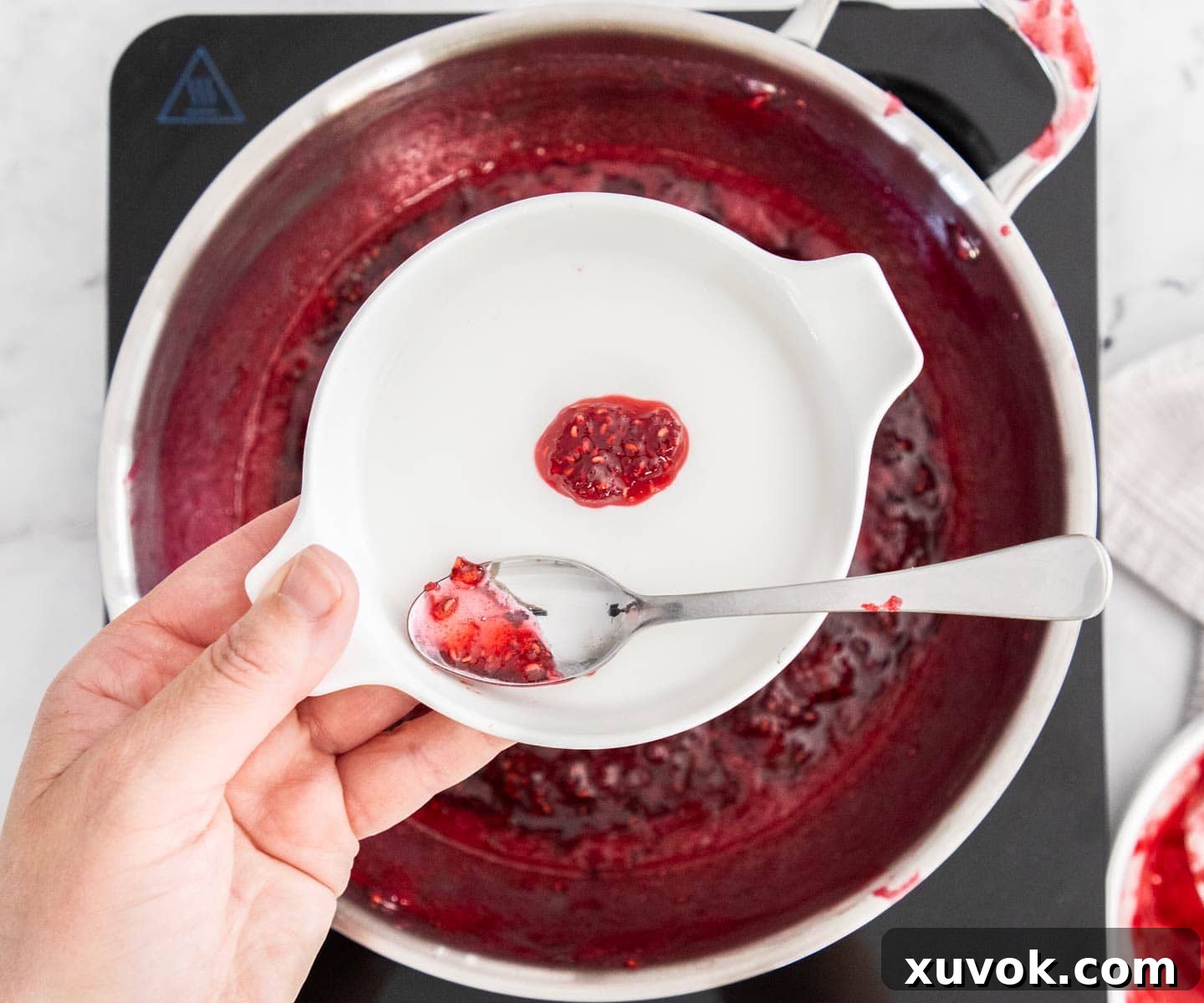 A small scoop of perfectly set raspberry jam on a chilled saucer, showing its desirable wrinkle and firmness.