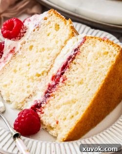 Closeup of a slice of raspberry sponge cake with delicate layers of cream and jam.