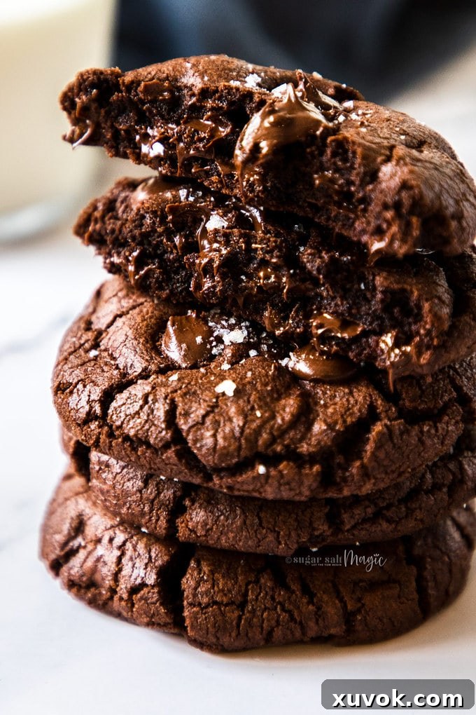 Closeup of a stack of chocolate cookies with the top one broken in half.