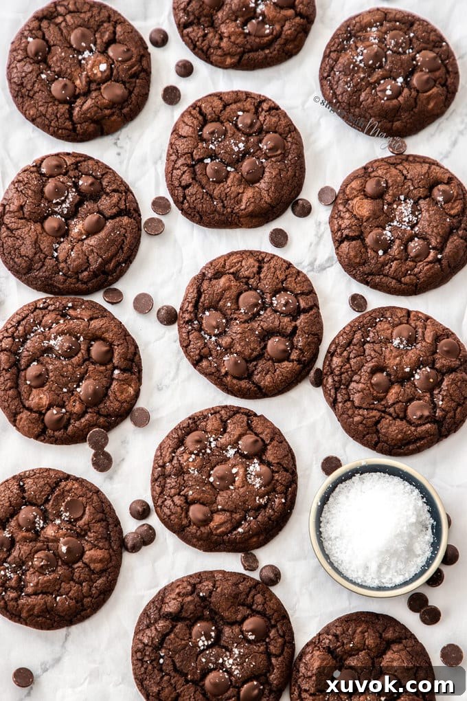 Birdseye view of a batch of chocolate cookies laid out on a sheet of baking paper.
