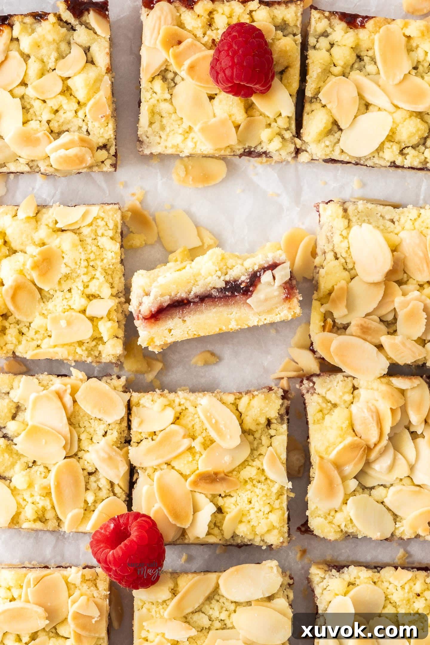 Top down view of a freshly baked batch of raspberry shortbread bars in the pan.