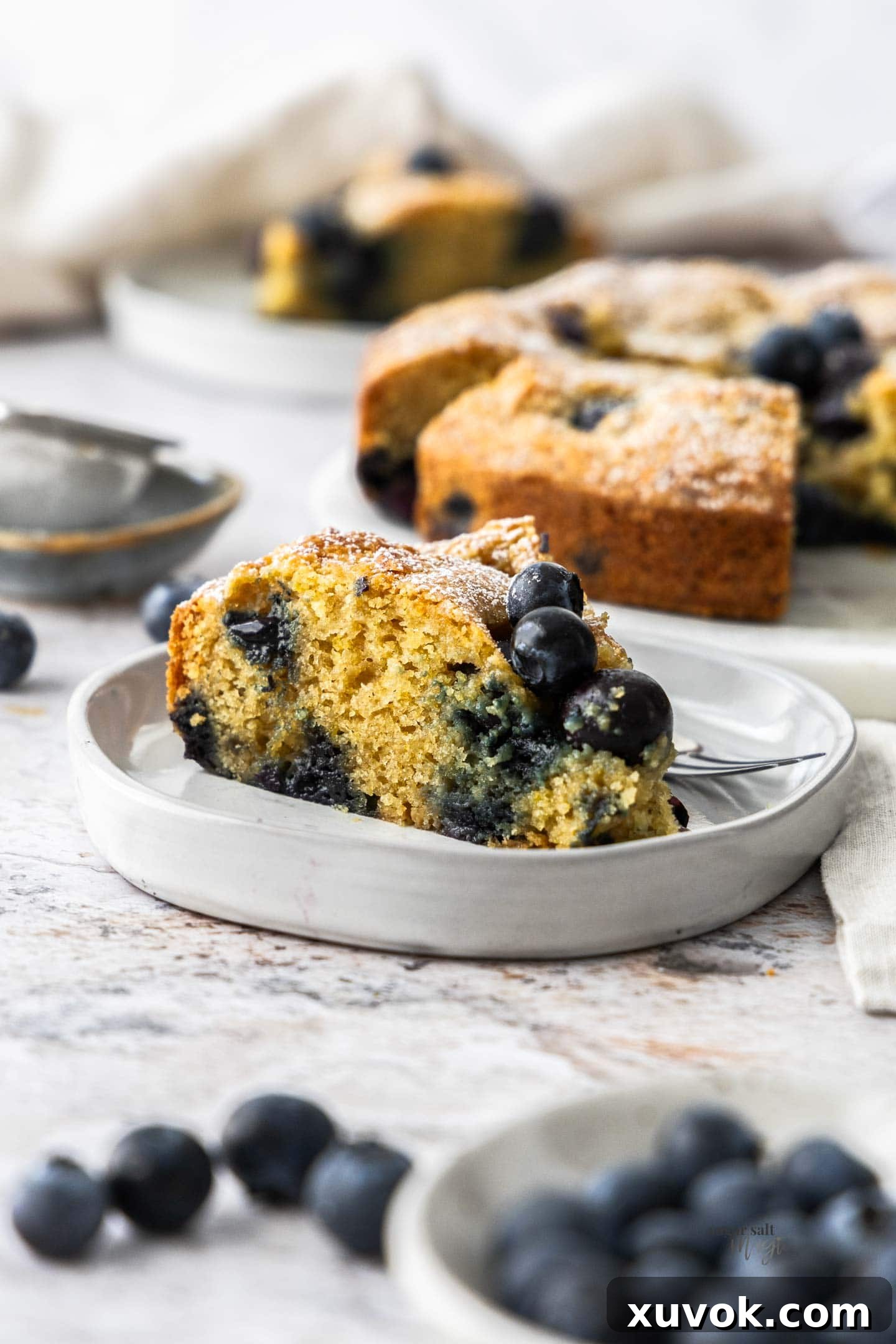 A slice of blueberry sour cream cake on a plate.