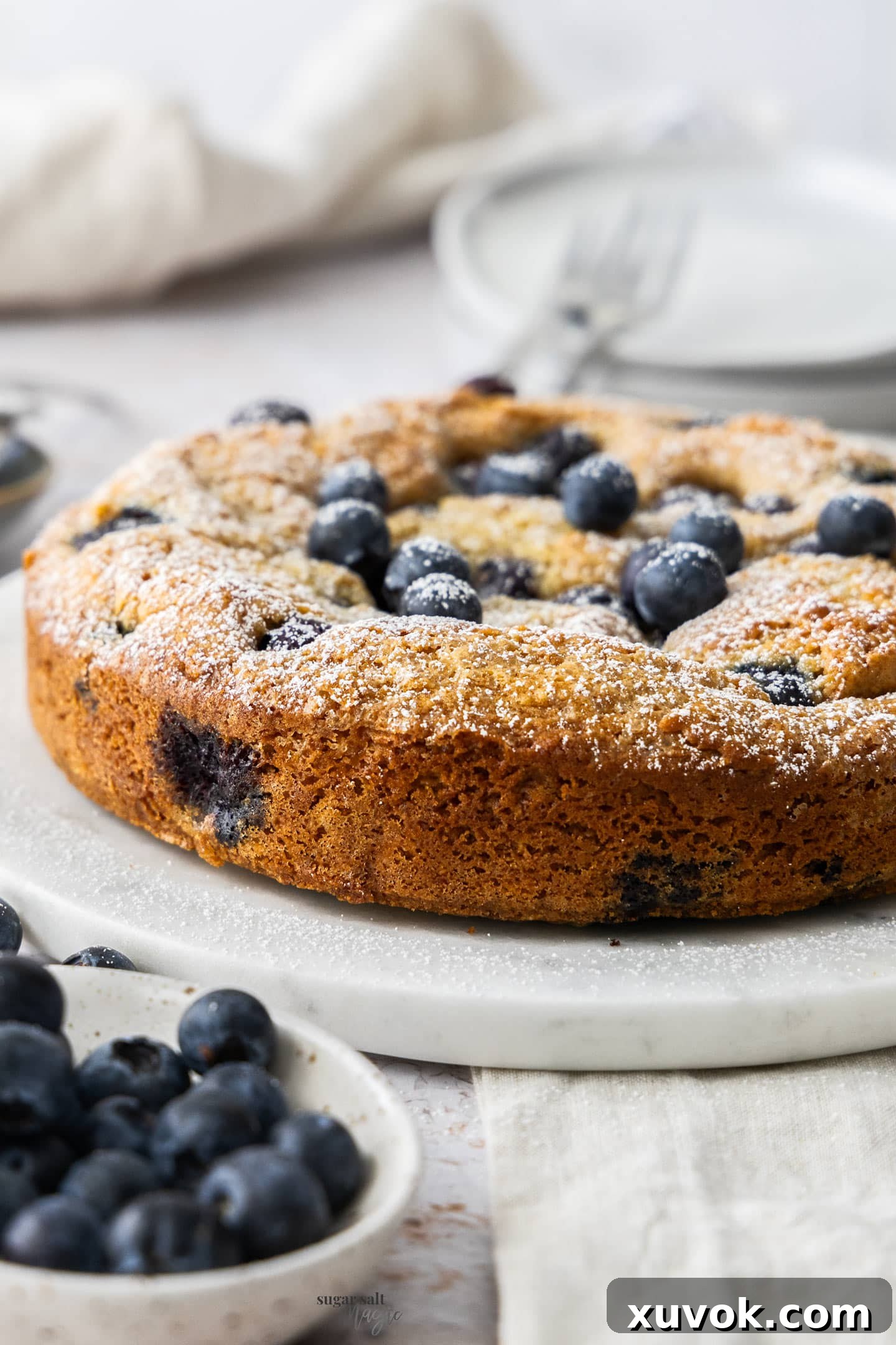 Profile view of the blueberry sour cream cake.