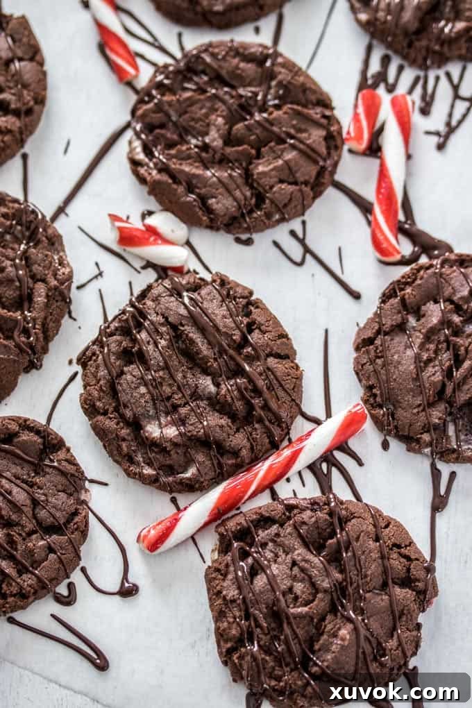 Chocolate cookies surrounded by candy canes and melted chocolate drizzle.