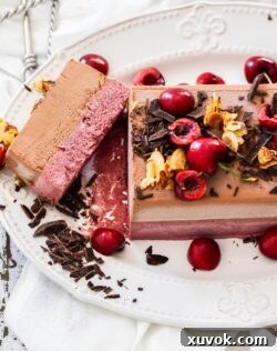 Top down view of a cherry and chocolate French parfait on a serving dish.