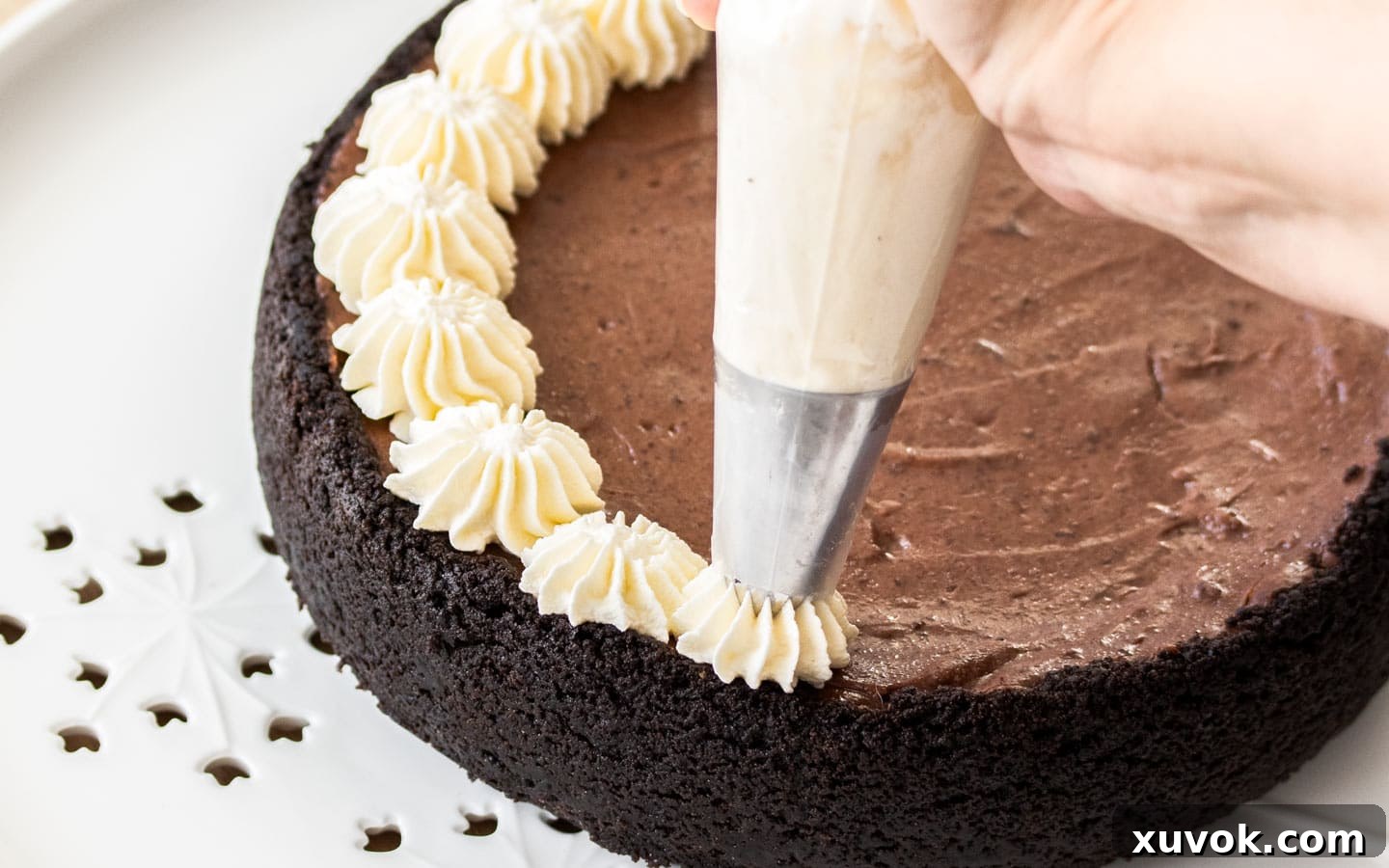 Whipped cream being artfully piped onto the edge of the chilled Black Forest Cheesecake.