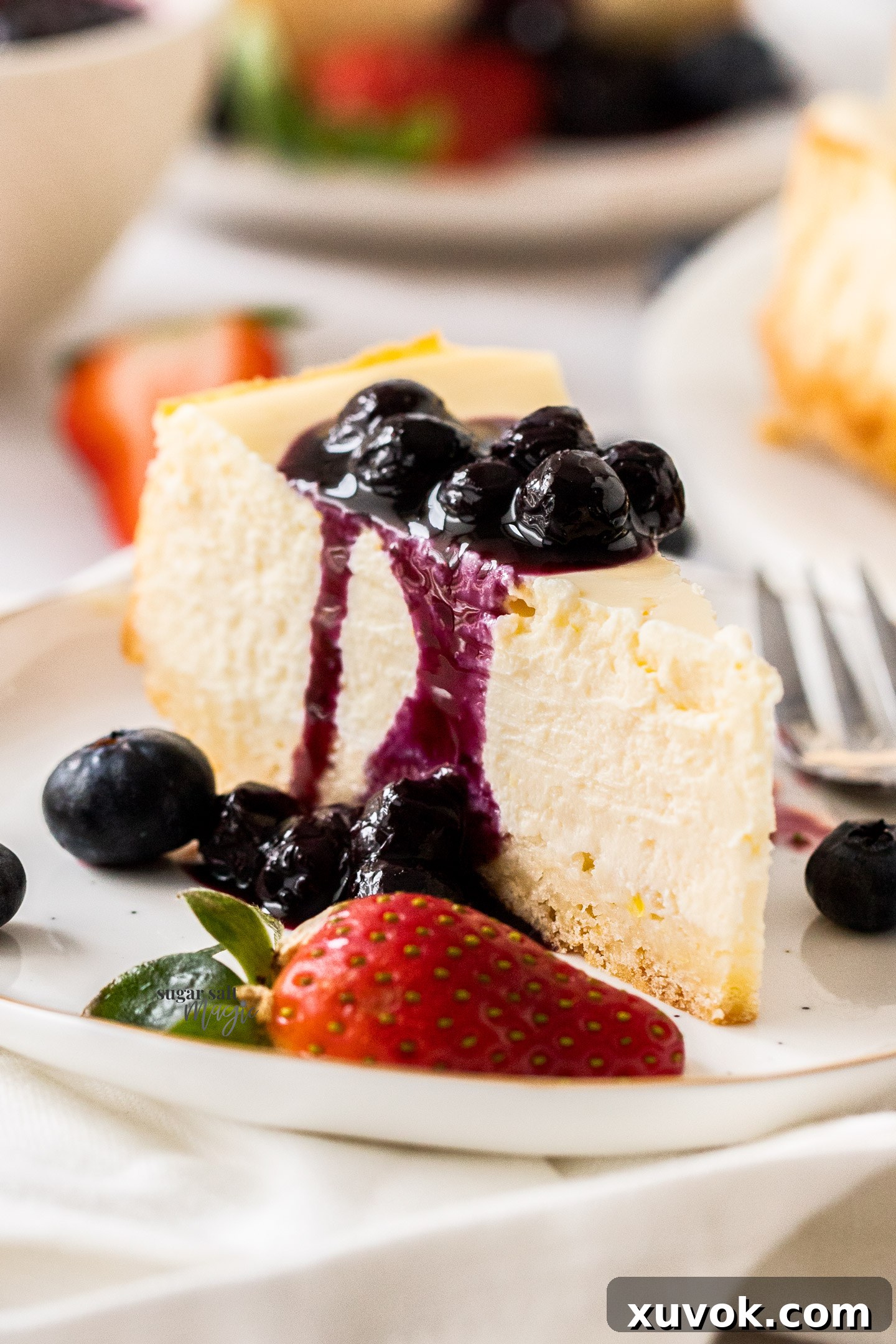 A closeup of a slice of baked cheesecake.