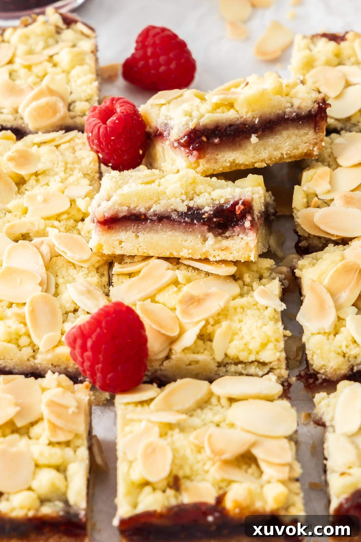 A few raspberry shortbread bars leaning up against one another.